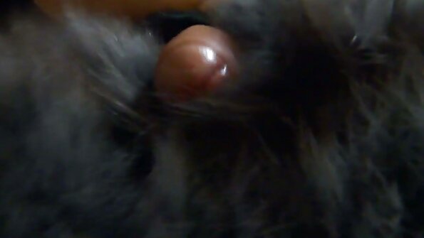 الساخنة الفرخ جيني مانسون فيديوهات سكس عالميه انتقد بحماس من قبل صديقها